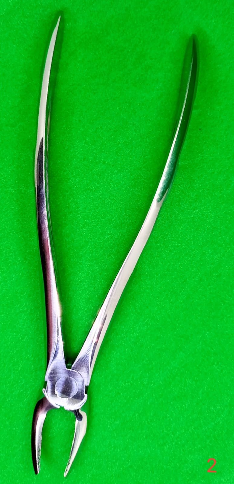 Dental Extraction Forceps