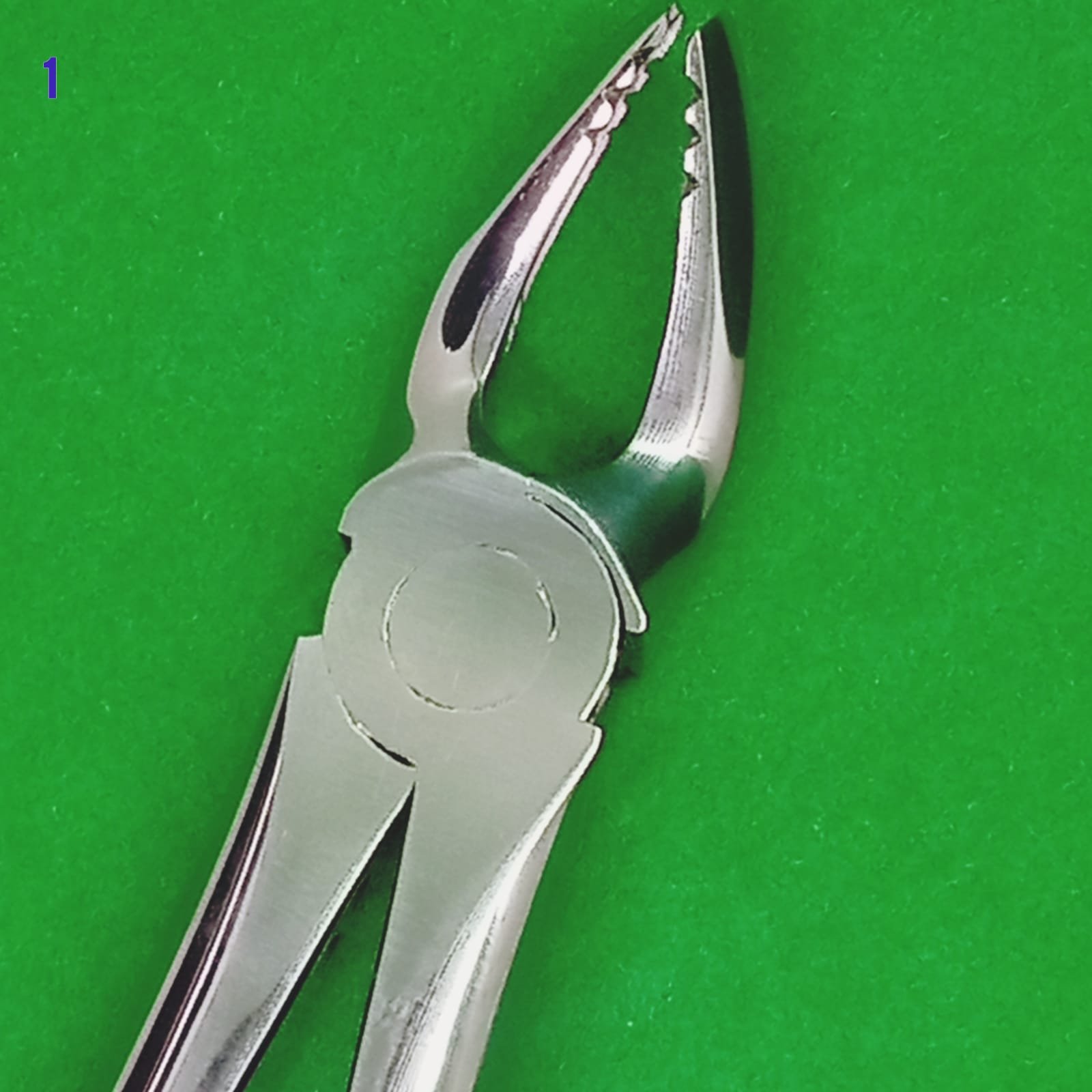 Dental Extraction Forceps